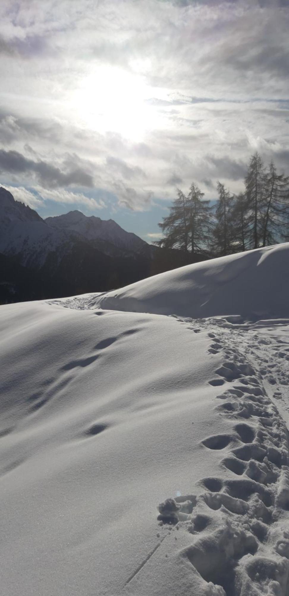 Agriturismo Belotti Temù Eksteriør billede